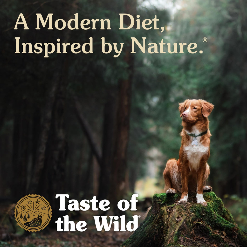 High Prairie Adult Dry Dog Food Roasted Bison 28lb J45802