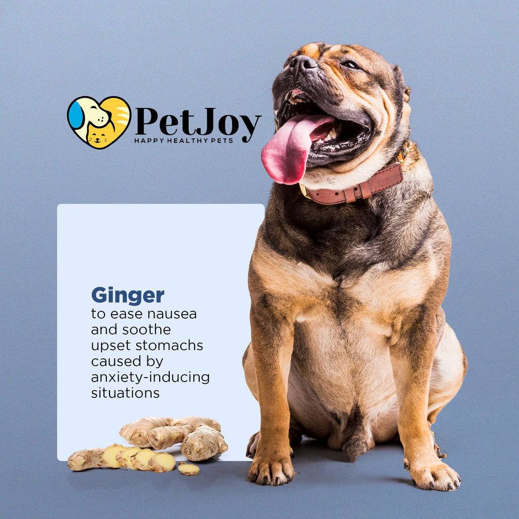 Hemp Calming Chews for Dogs with Chamomile 60 Bacon Treats L7898