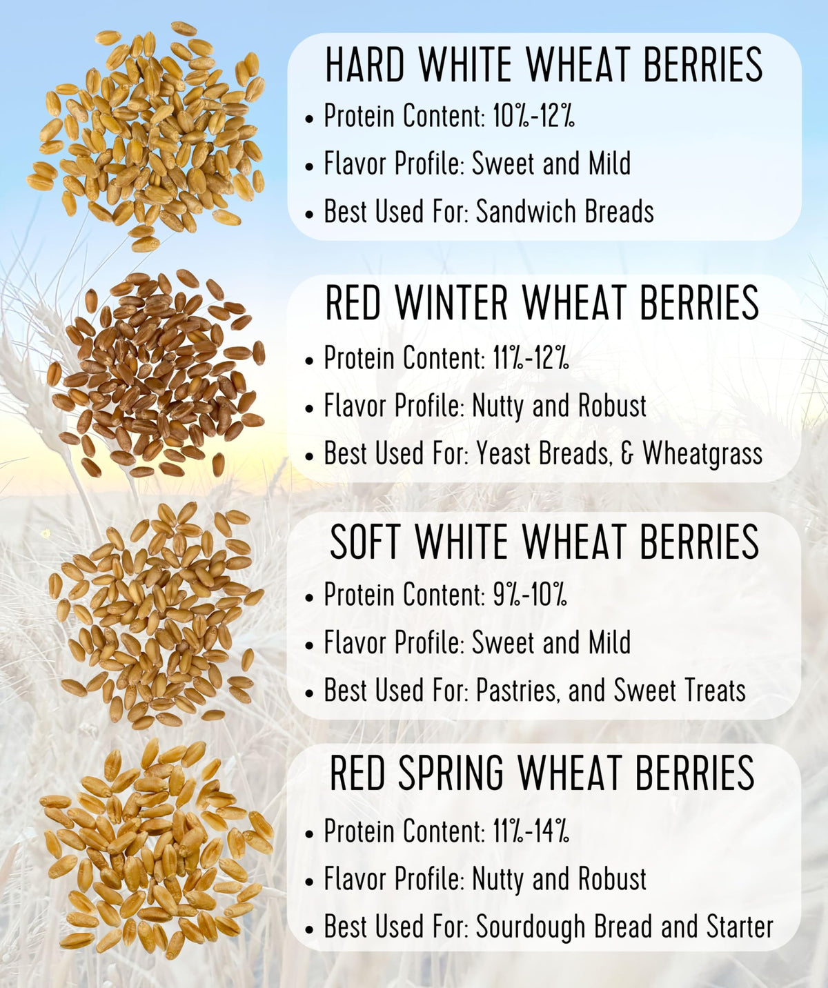 Hard White Wheat Berries 5 lbs V588