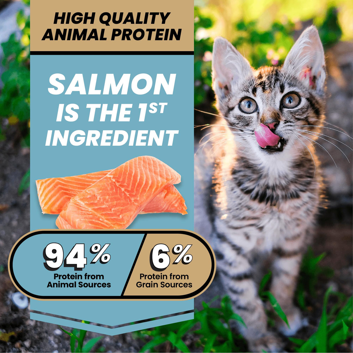 High Protein Salmon Recipe for Kittens, 5lb E953756