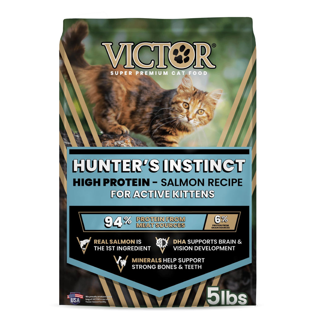 High Protein Salmon Recipe for Kittens, 5lb E953756