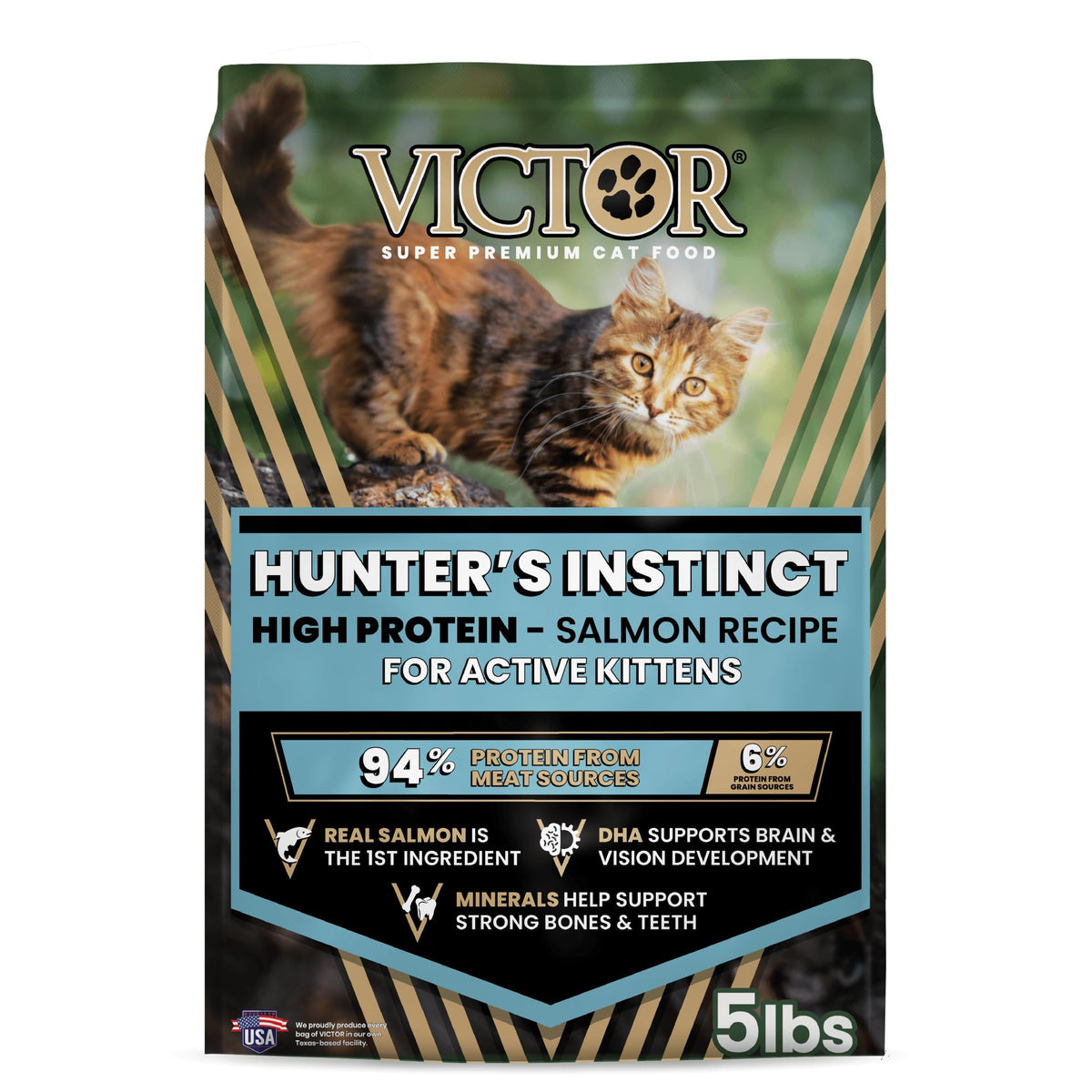 High Protein Salmon Recipe for Kittens, 5lb E953756