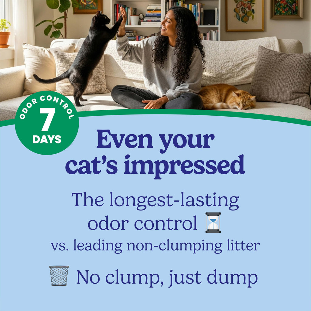 Non-Clumping Cat Litter with Odor Control, 14 lb. Bag L3289