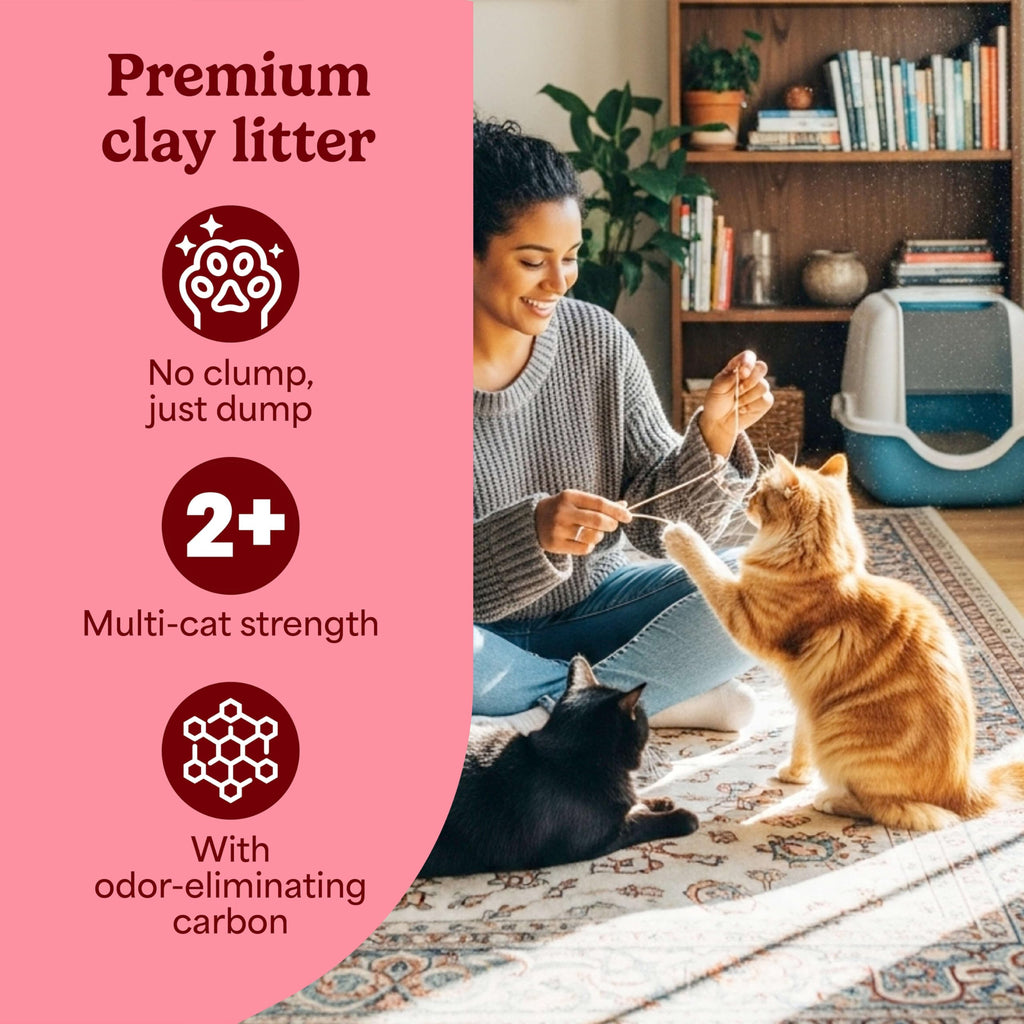 Non-Clumping Cat Litter with Odor Control, 14 lb. Bag L3289