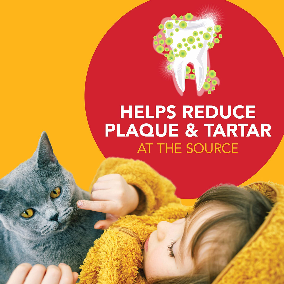 Cat Toothbrush and Toothpaste Kit Malt Flavor 2.5oz O326609