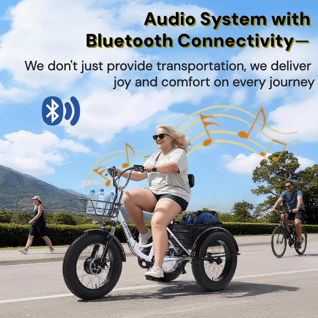 20" Fat Tire Folding Electric Tricycle 750W 48V W6972