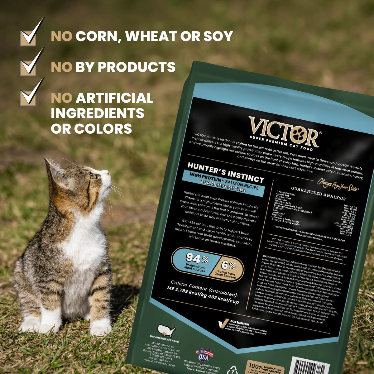High Protein Salmon Recipe for Kittens, 5lb E953756