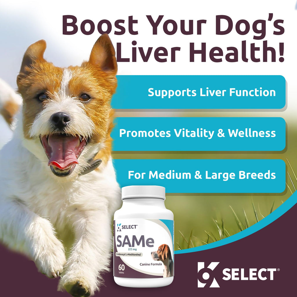 Dog Liver Supplement 60 Tablet 225mg O76108