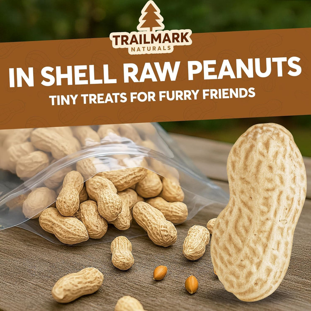 Raw Peanuts for Squirrels and Birds, 5 Pounds Total B431