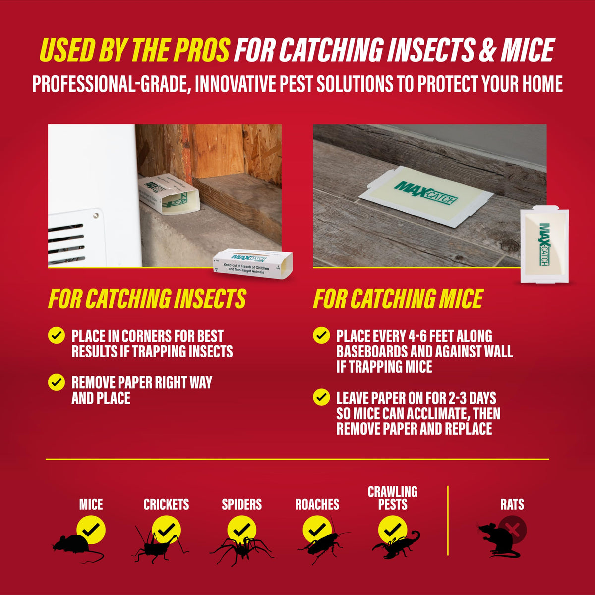 Glue Traps 36pk K8135