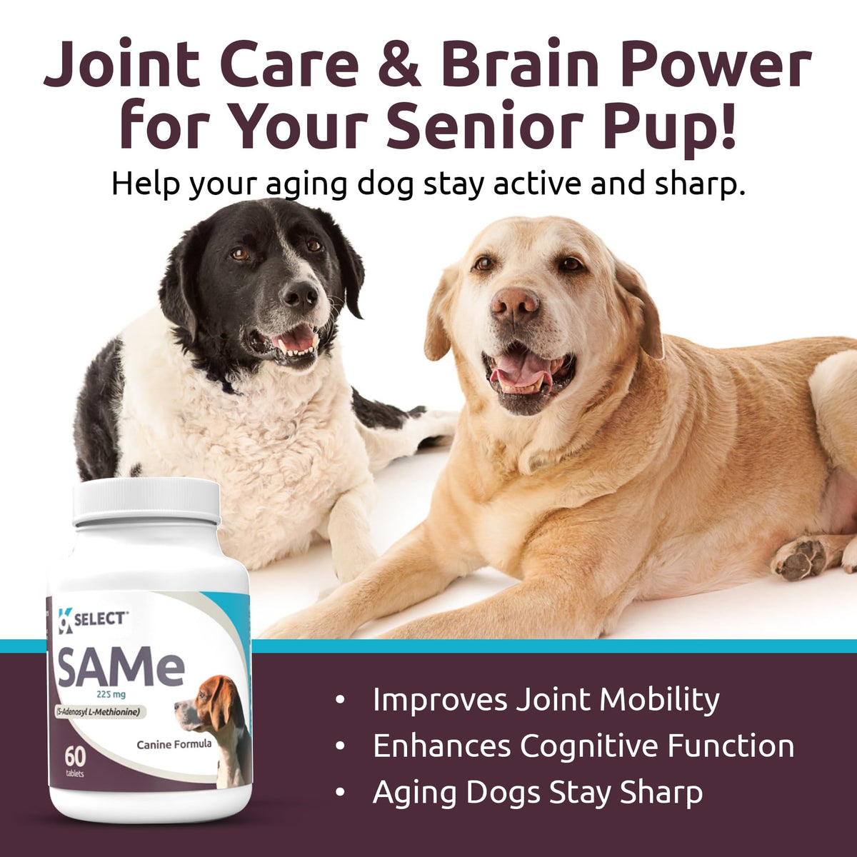 Dog Liver Supplement 60 Tablet 225mg O76108