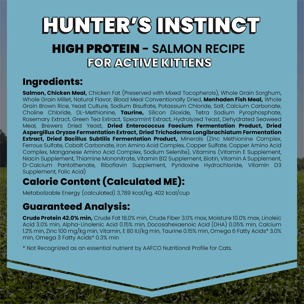 High Protein Salmon Recipe for Kittens, 5lb E953756