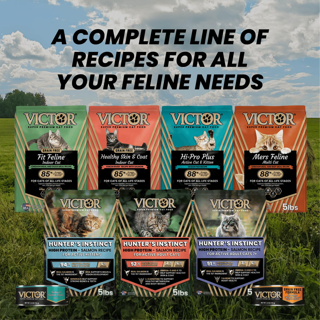 High Protein Salmon Recipe for Kittens, 5lb E953756