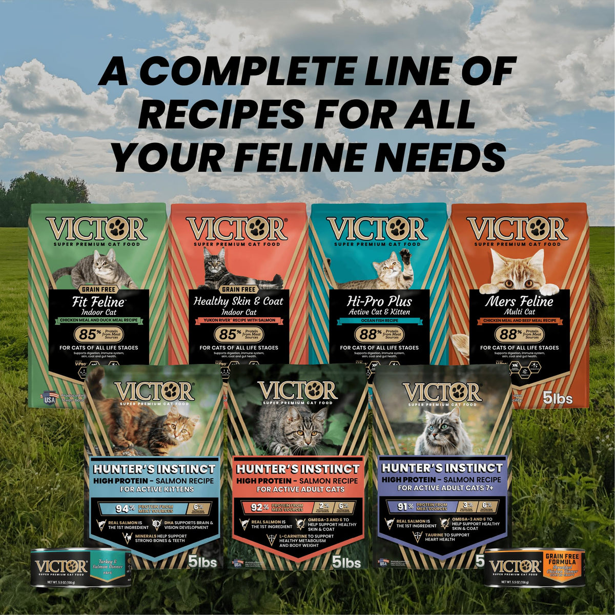 High Protein Salmon Recipe for Kittens, 5lb E953756