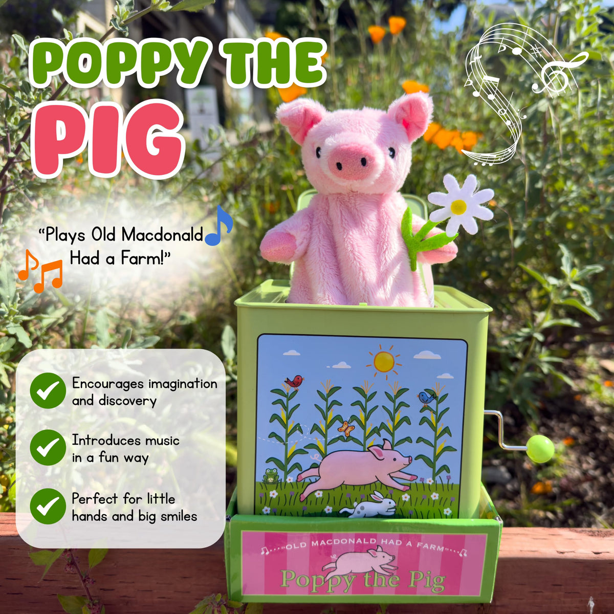 Pig Jack in the Box H3891